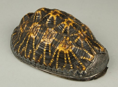 Doos van schild van schildpad afgesloten met blad met wapendecor